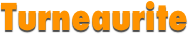 Turneaurite